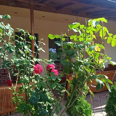Casa Firat * Neptun